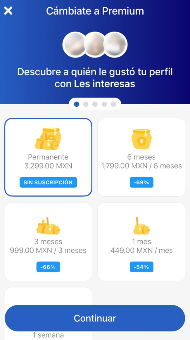 task 3: Photo about the information of different plans on premium in the app